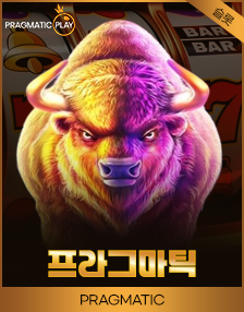 프라그매틱 플레이